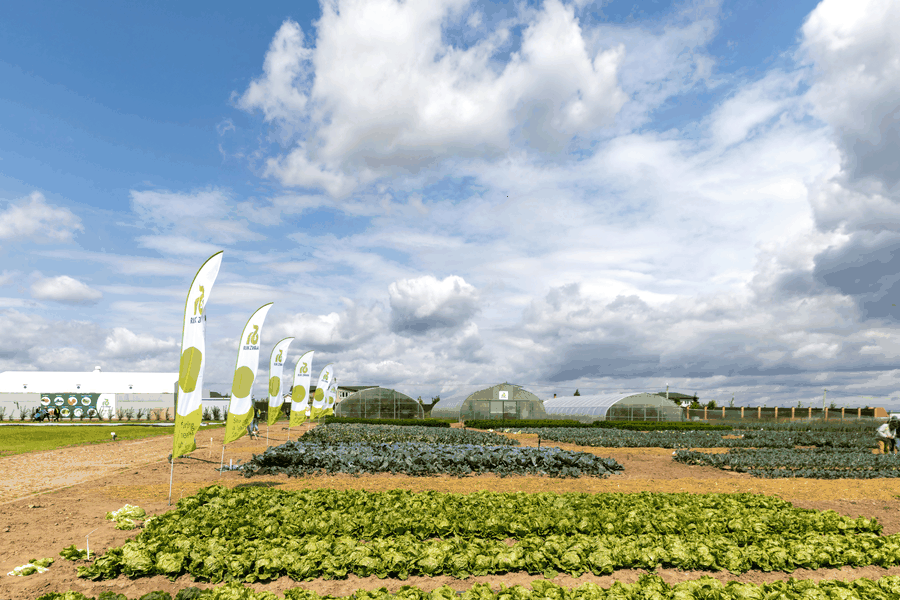 Workshop visual for Аудит ESG-рисков