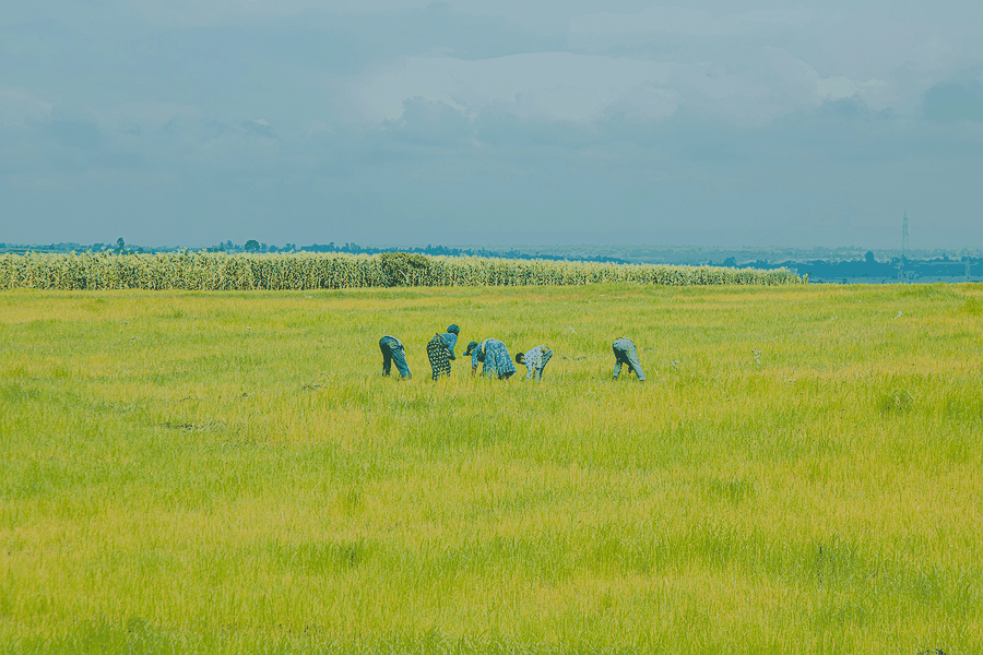Team planning next steps for ESG консалтинг и устойчивое развитие бизнеса