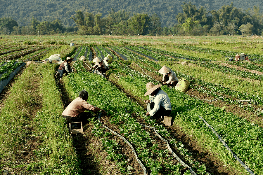 investment growth chart, ESG compliance report, risk mitigation results, Kazakhstan business success